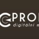 ppc profit digitalni marketing